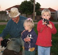 Orrie Cowie Merino and Poll Merino Stud