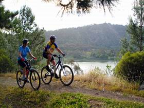 Mount Gambier Crater Lakes Mountain Bike Trail - Sunshine Coast Guide 0