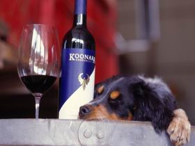 Koonara Wines - Sunshine Coast Guide 0