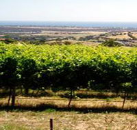 Braydun Hill Vineyard - Sunshine Coast Guide