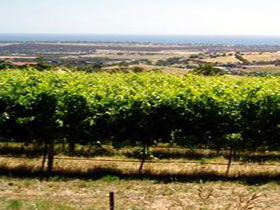 Braydun Hill Vineyard - Sunshine Coast Guide 0
