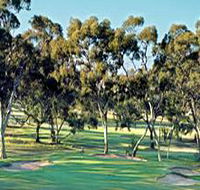 Tanunda Pines Golf Club - Sunshine Coast Guide
