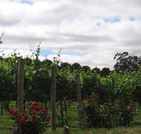 Manyara Vineyard - Sunshine Coast Guide