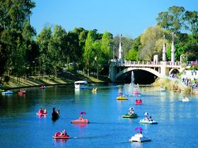 Captain Jolleys Paddle Boats - Sunshine Coast Guide 0