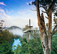 Tahune Adventures Tasmania - Sunshine Coast Guide