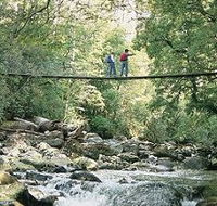 Arve Forest Drive - Sunshine Coast Guide