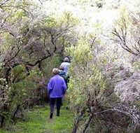 Jack And Hilda McArthur Walk - Sunshine Coast Guide