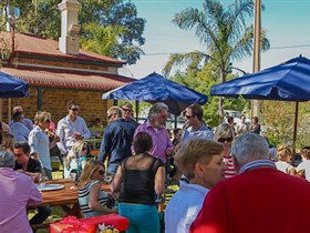 Barossa Valley Brewing - Sunshine Coast Guide 0