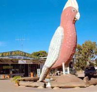 The Big Galah - Sunshine Coast Guide