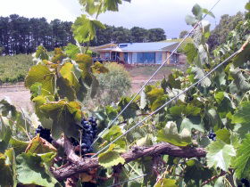 Zimmermann Wine - Sunshine Coast Guide 0