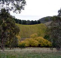Mt Bera Vineyards - Sunshine Coast Guide