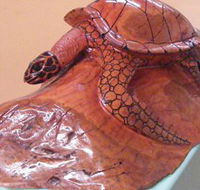 Ants Redgum Gallery - Sunshine Coast Guide