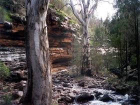 Mount Remarkable National Park - Sunshine Coast Guide 0
