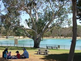 Naracoorte Nature Park And Swimming Lake - Sunshine Coast Guide 0