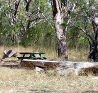 Penola Conservation Park - Sunshine Coast Guide