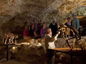 Naracoorte Caves National Park - Sunshine Coast Guide 0