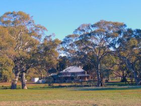 Old Wilpena Station - Sunshine Coast Guide 0