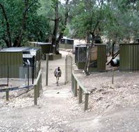 Humbug Scrub Wildlife Sanctuary - Sunshine Coast Guide