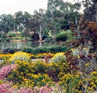 Wittunga Botanic Garden - Sunshine Coast Guide