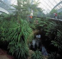 Bicentennial Conservatory - Sunshine Coast Guide