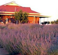 Bella Lavender Estate - Sunshine Coast Guide