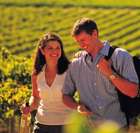 Lady Bay Vineyard - Sunshine Coast Guide