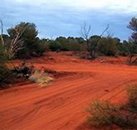 Tallaringa Conservation Park - Sunshine Coast Guide