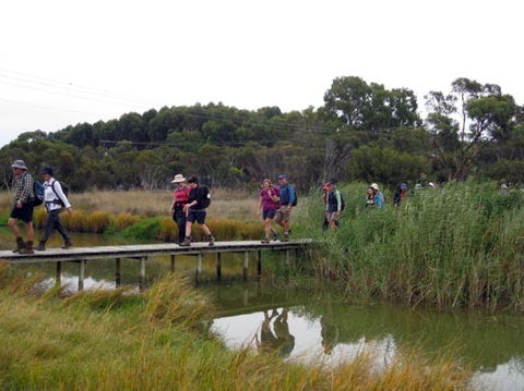 Lavender Federation Trail - Sunshine Coast Guide 1