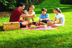  Sunshine Coast Guide