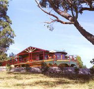 Barringwood Park Vineyard - Sunshine Coast Guide