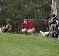 Tasmania Golf Club - The - Sunshine Coast Guide