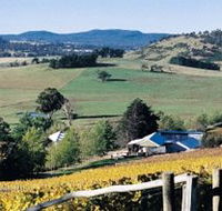 Freycinet Vineyards Pty Ltd - Sunshine Coast Guide