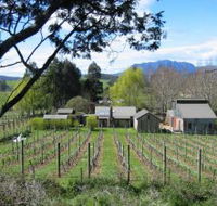 Wilmot Hills Vineyard - Sunshine Coast Guide