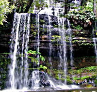 Mt Field National Park - Sunshine Coast Guide