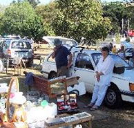 Don Village Market - Sunshine Coast Guide