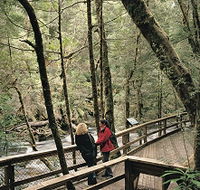 Franklin River Nature Trail - Sunshine Coast Guide