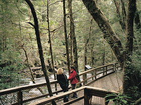 Franklin River Nature Trail - Sunshine Coast Guide 0