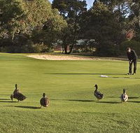 Royal Hobart Golf Club - Sunshine Coast Guide