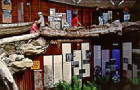 West Coast Visitor Information And Booking Centre - Sunshine Coast Guide 0