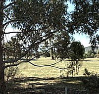 Cygnet Public Golf Course - Sunshine Coast Guide