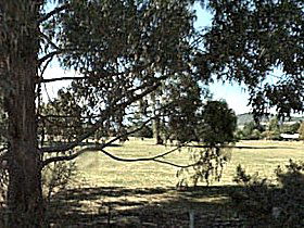 Cygnet Public Golf Course - Sunshine Coast Guide 0