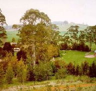The Tasmanian Arboretum - Sunshine Coast Guide