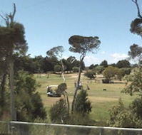 Greens Beach Golf Course - Sunshine Coast Guide