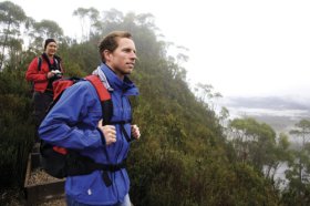 Donaghys Lookout - Sunshine Coast Guide 0