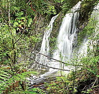 Hogarth Falls - Sunshine Coast Guide