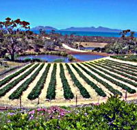 Kate's Berry Farm - Sunshine Coast Guide