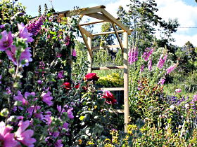 Thelma Retreat Garden And Teahouse - Sunshine Coast Guide 0