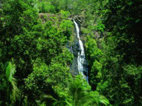 Montville QLD Sunshine Coast Guide