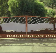 Tasmanian Bushland Garden - Sunshine Coast Guide