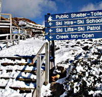 Ben Lomond National Park - Sunshine Coast Guide